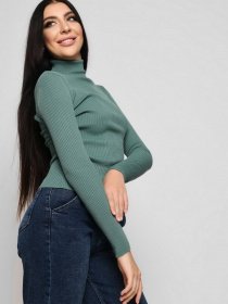 Водолазка Braska модель SV-6658-7 Фото