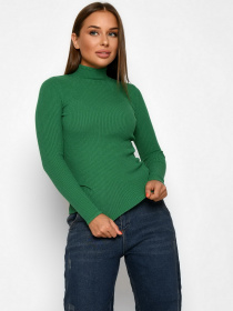 Водолазка Braska модель SV-6657-12 Фото