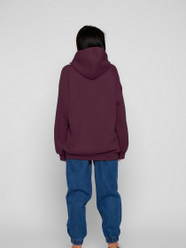 Худі Braska модель 226-16 Фото