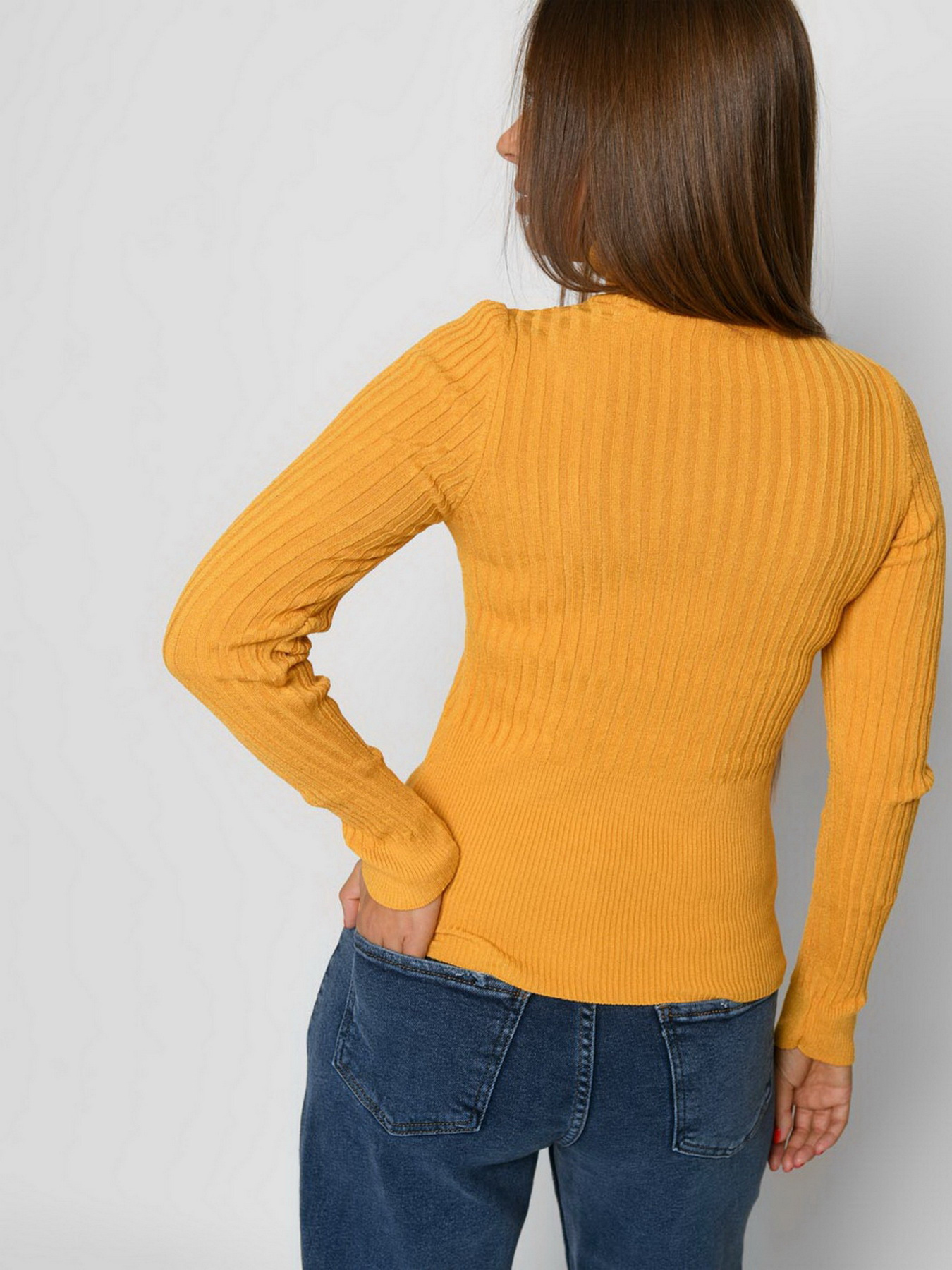 Водолазка Braska модель SV-6925-6 Фото