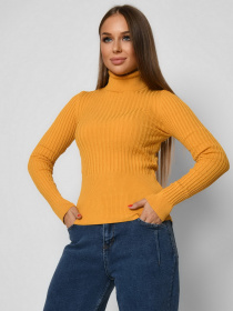 Водолазка Braska модель SV-6925-6 Фото