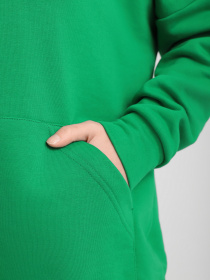 Худі Braska модель 202-214 Фото