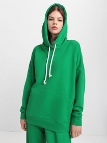 Худі Braska модель 202-214 Фото