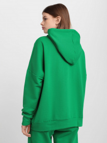 Худі Braska модель 202-214 Фото