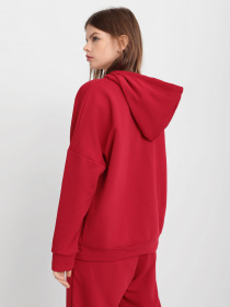 Худи Braska модель 202-205 Худи Braska модель 202-205 Фото