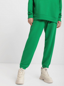 Спортивні штани Braska модель 002-214 Фото