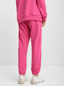 Спортивні штани Braska модель 002-208 Фото