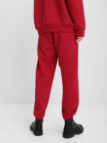 Штаны спортивные Braska модель 002-205 Фото