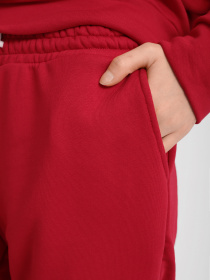 Штаны спортивные Braska модель 002-205 Фото