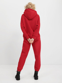 Спортивний костюм Braska модель 210-213 Фото