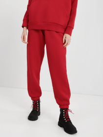 Спортивный костюм Braska модель 210-213 Фото