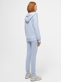 Спортивный костюм Braska модель 61-6045/308 Фото