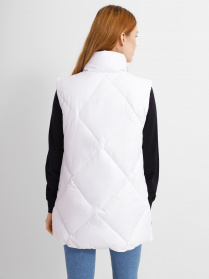 Жилет з утеплювачем Braska модель 69-4000/302 Фото