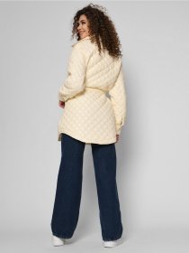 Демисезонная куртка Braska модель LS-8913-3 Фото