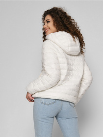 Демісезонна куртка Braska модель LS-8910-3 Фото