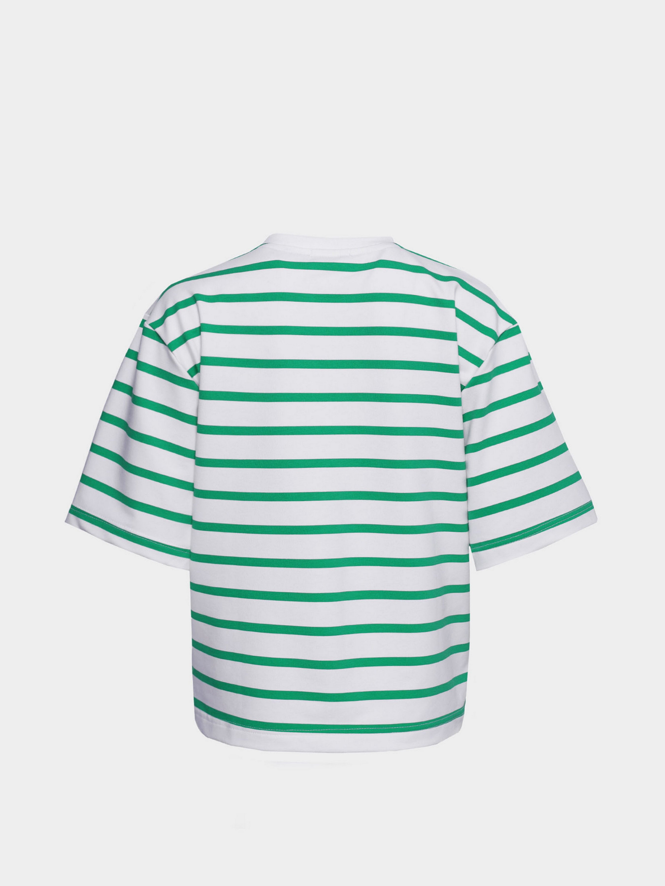 Футболки и поло Braska модель 61-5050/317 Фото