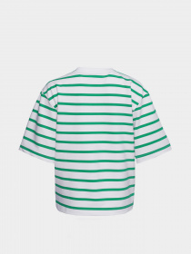 Футболки и поло Braska модель 61-5050/317 Фото