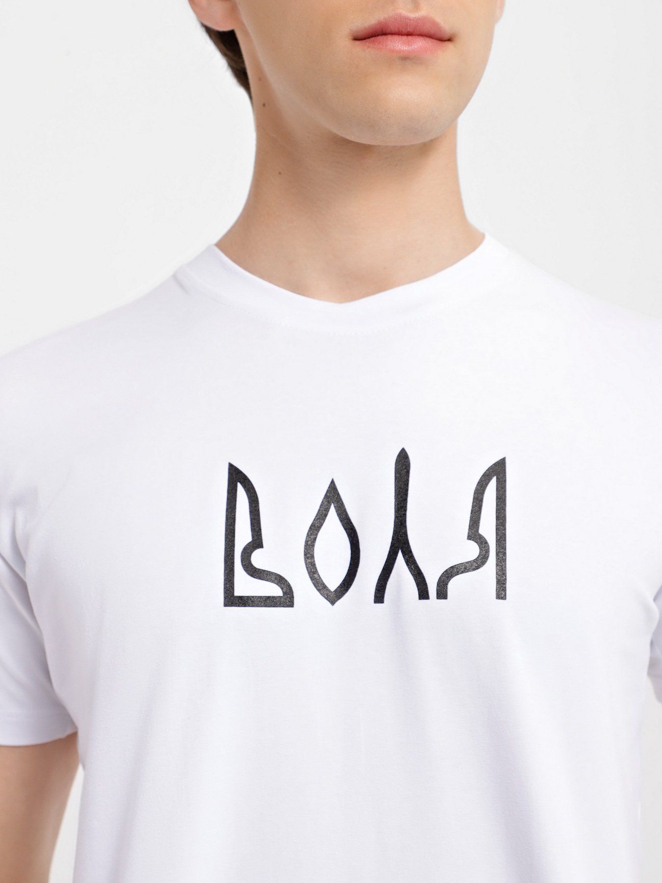 Футболка Braska модель 62-4040/302 Фото