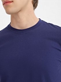 Футболка Braska модель 62-4040/309 Фото