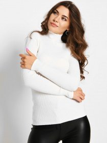 Водолазка Braska модель SV-6657-3 Фото