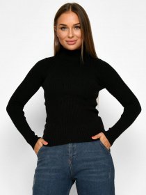 Водолазка Braska модель SV-6657-8 Фото