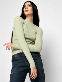 Водолазка Braska модель SV-6676-12 Фото