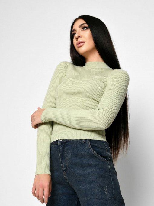 Водолазка Braska модель SV-6676-12 Фото