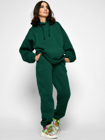 Спортивный костюм Braska модель KM-2170-12 Фото