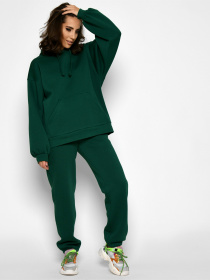 Спортивный костюм Braska модель KM-2170-12 Фото