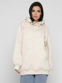 Худи Braska модель 226-24 Фото