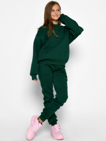 Спортивный костюм Braska модель KM-12031-12 Фото