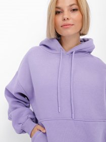 Спортивний костюм Braska модель SV-6987-23 Фото