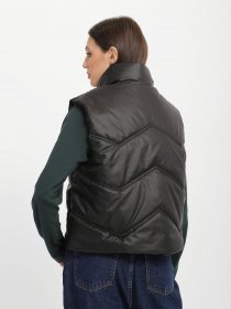 Жилет с утеплителем Braska модель 81-5000/301 Фото