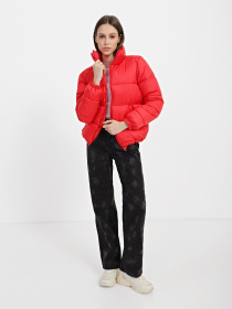 Демисезонная куртка Braska модель 81-5929/303 Фото