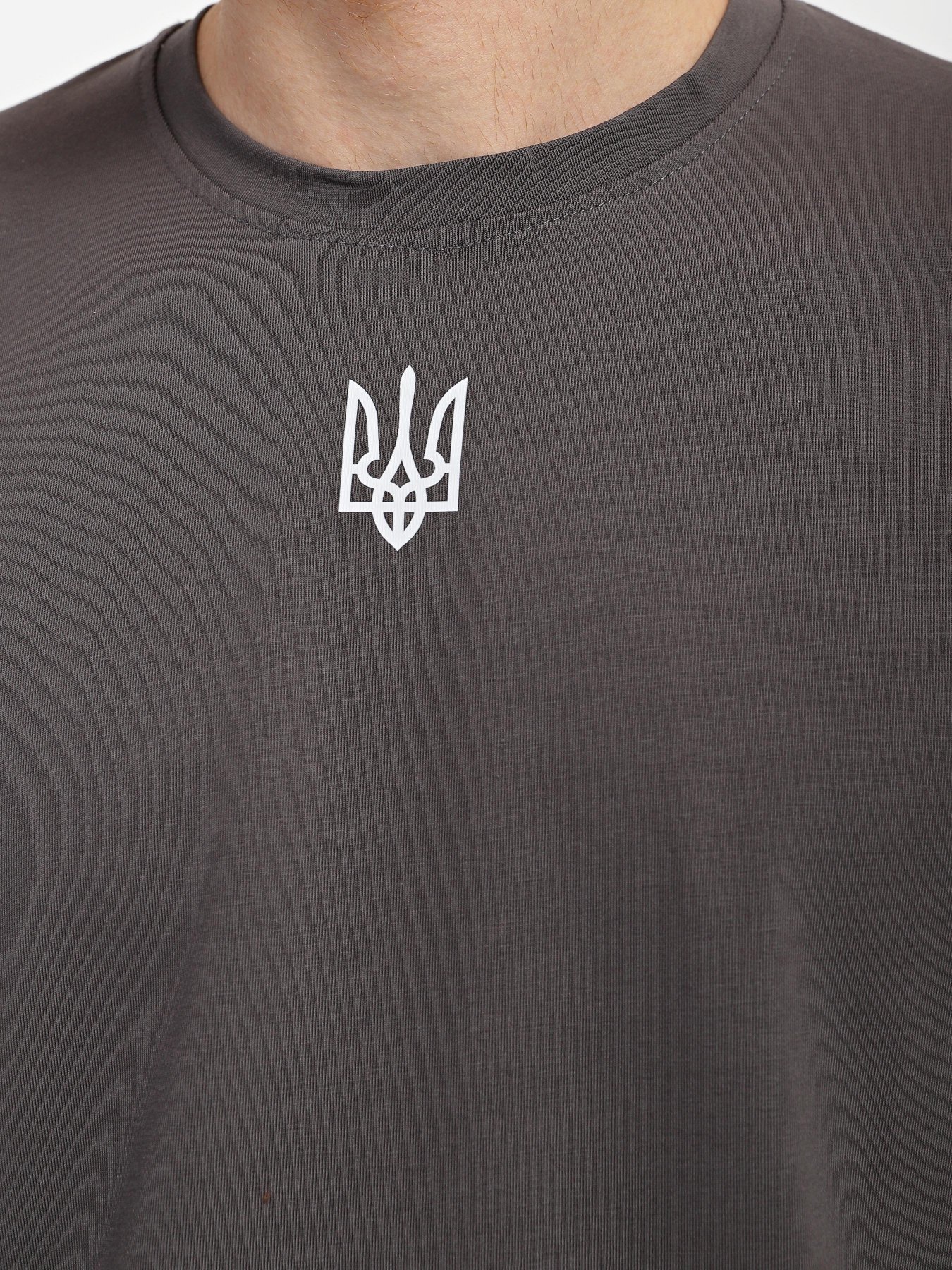 Футболка Braska модель 131-291 Фото