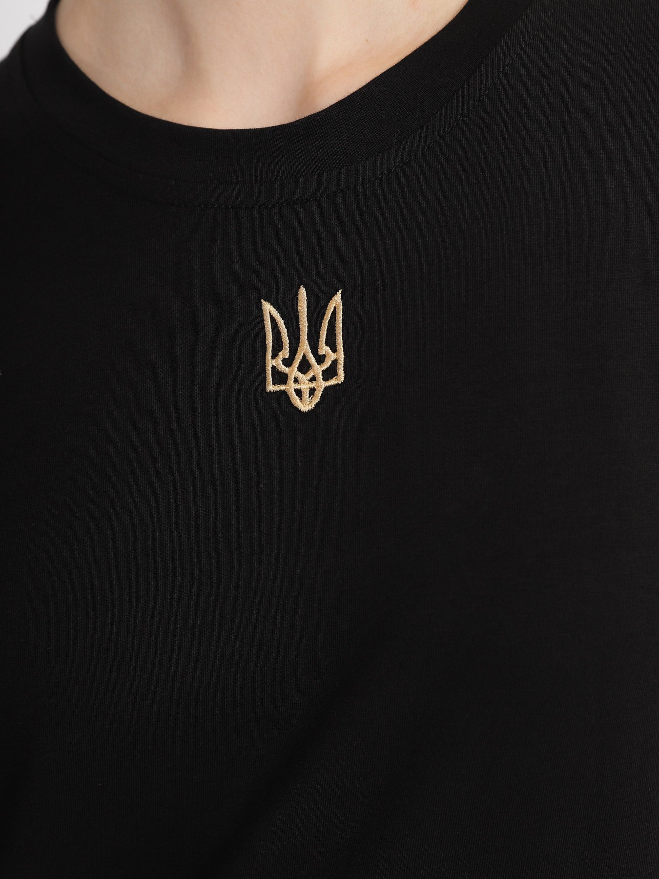 Футболка Braska модель 80-8888/301 Фото