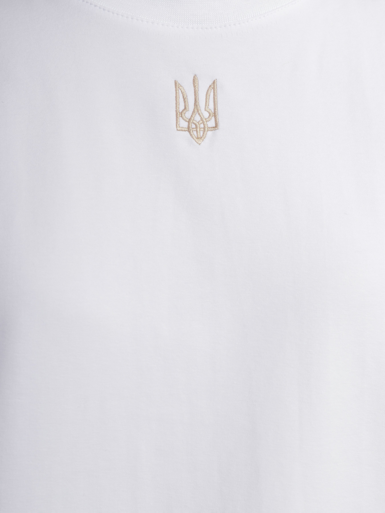 Футболка Braska модель 138-3 Фото