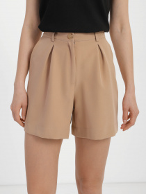 Повсякденні шорти Braska модель 81-4535/304 Фото