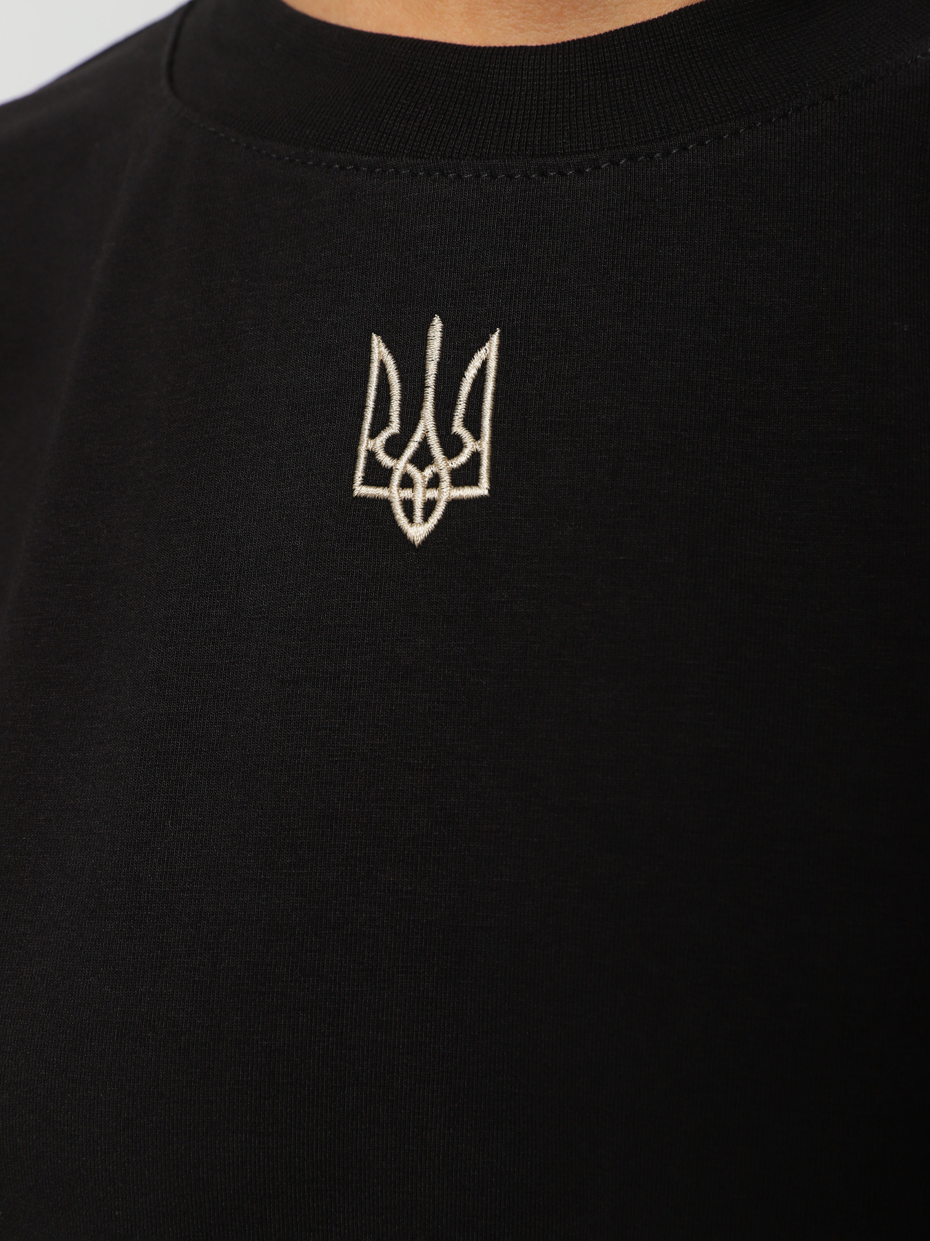 Футболка Braska модель 13012-8 Фото