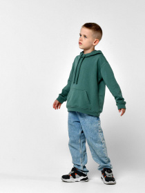 Худі Braska модель 12017-31 Фото