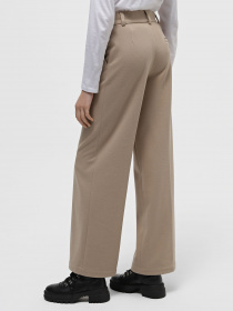 Класичні штани Braska модель 44223/304 Фото