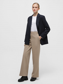 Классические штаны Braska модель 44223/304 Фото