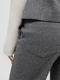 Повседневные штаны Braska модель 46123/301 Фото