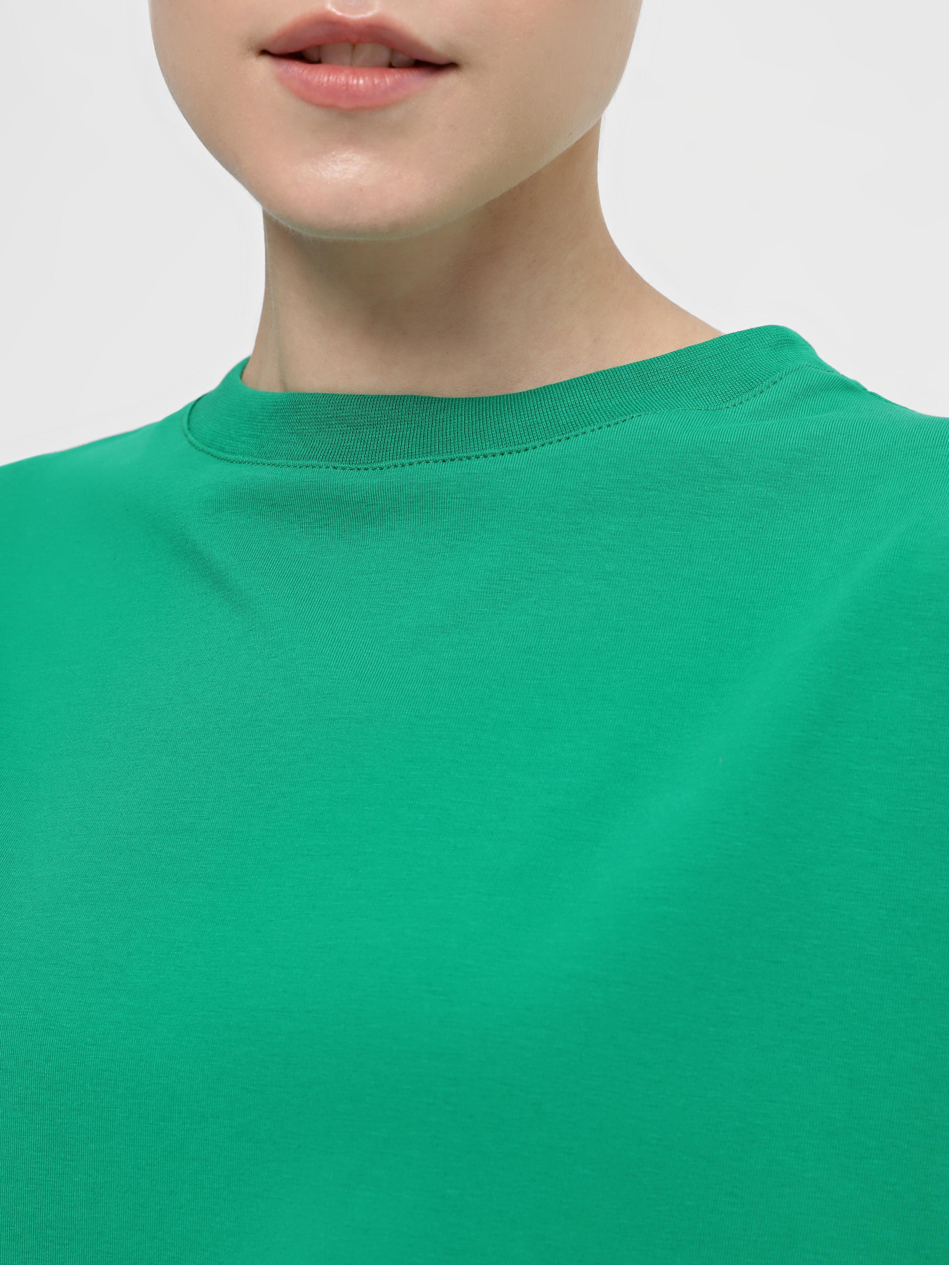 Футболка Braska модель 13019-12 Футболка Braska модель 13019-12 Фото