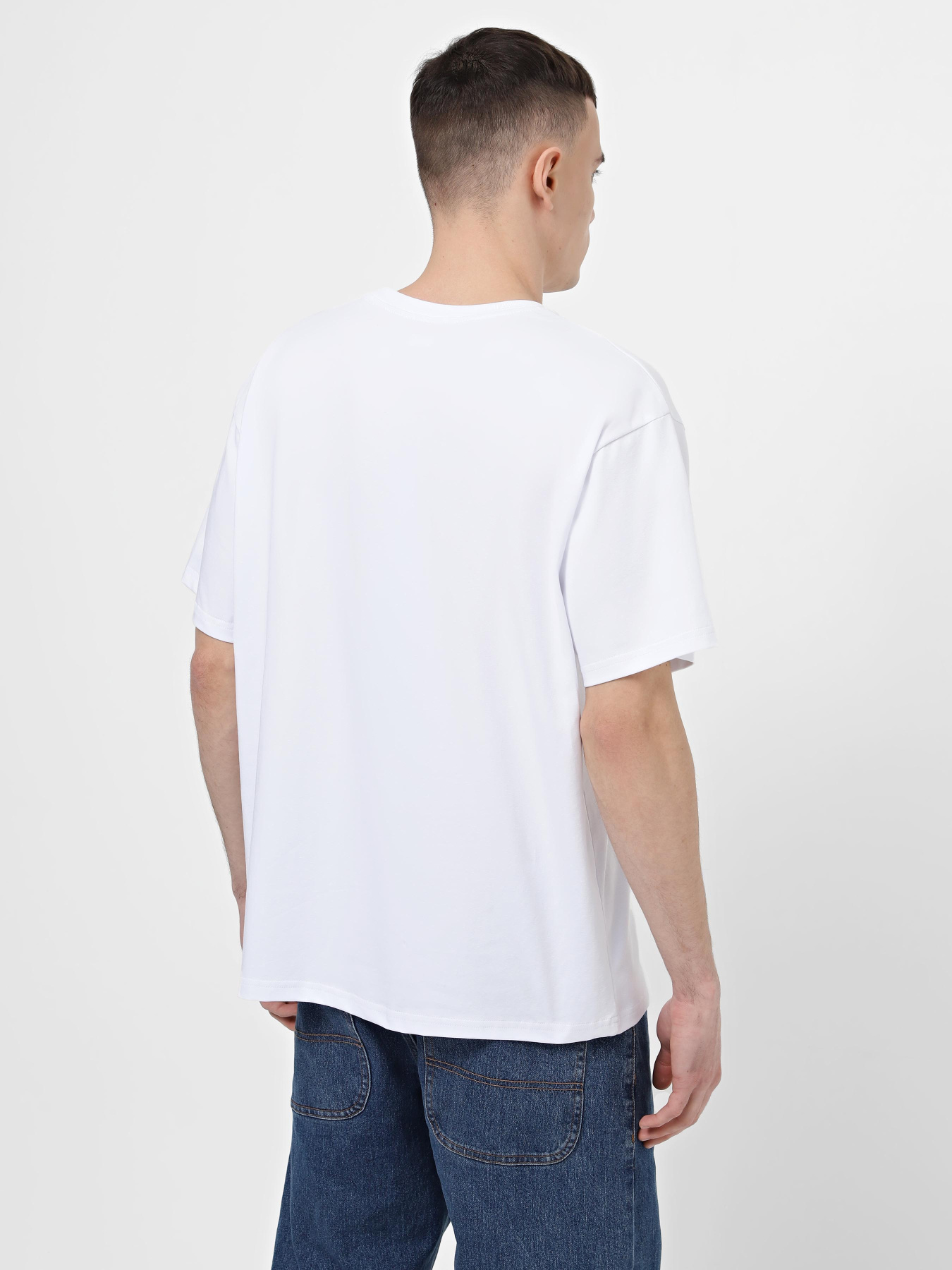 Футболка Braska модель 13018-3 Фото