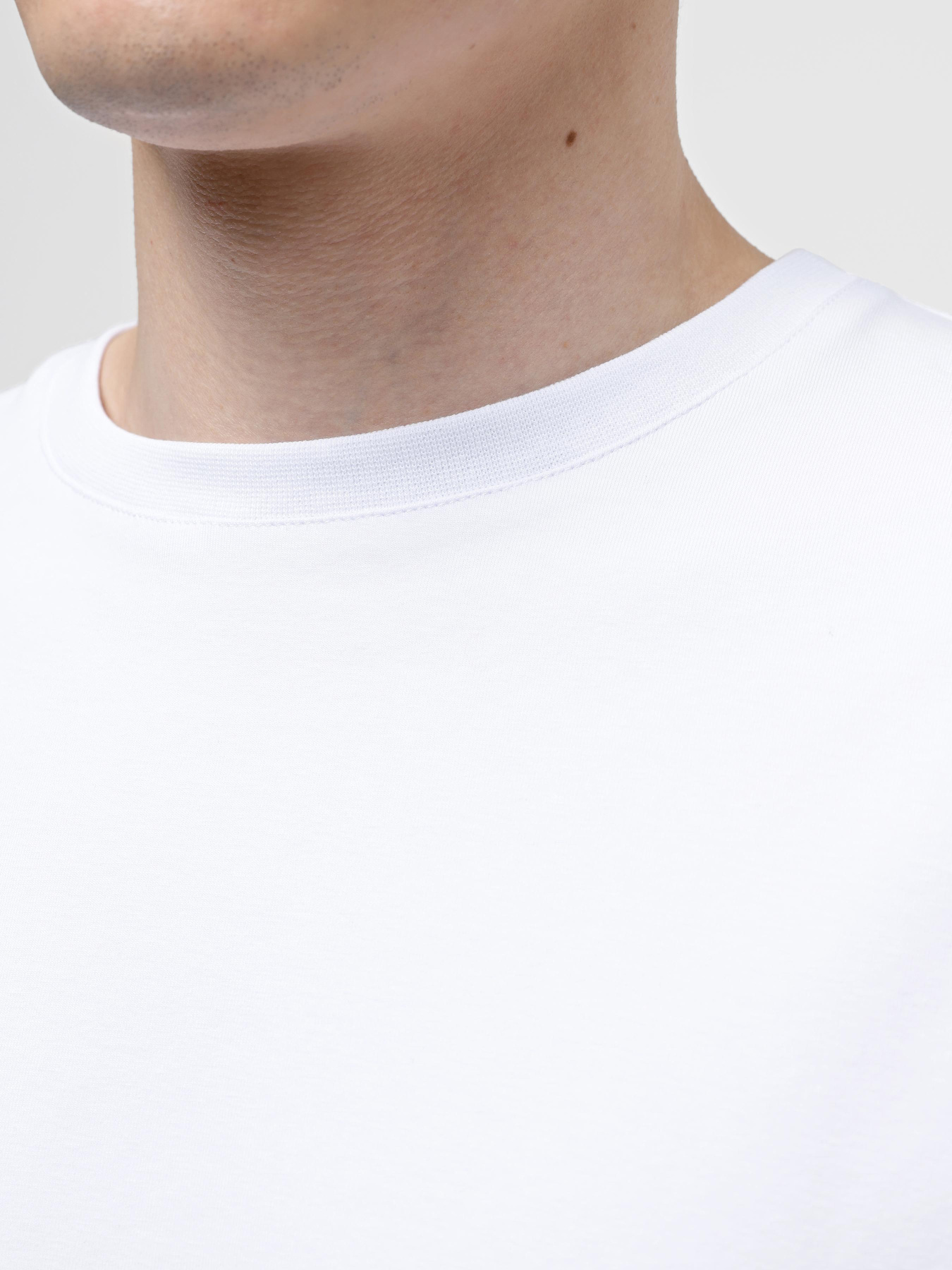 Футболка Braska модель 13018-3 Фото