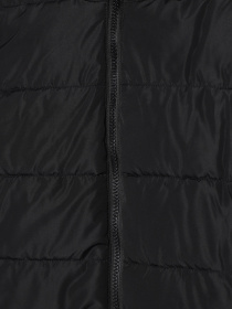 Жилет з утеплювачем Braska модель 8366-8 Фото