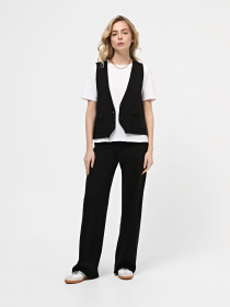 Повсякденні штани Braska модель 091-1/301 Повсякденні штани Braska модель 091-1/301 Фото