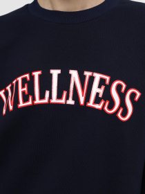 Свитшот Braska модель 11-2916/309 Фото