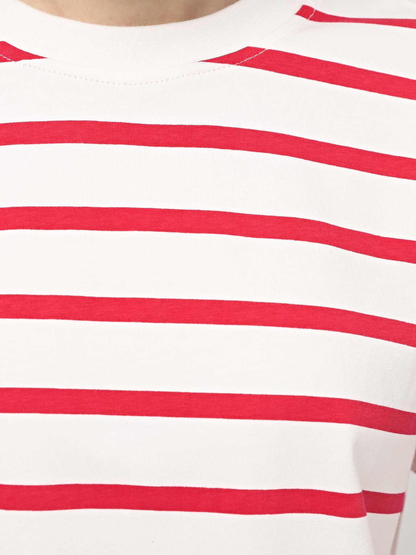 Футболка Braska модель 11-3040/398 Футболка Braska модель 11-3040/398 Фото